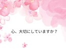 対話により心をほぐすお手伝いをいたします あなたの心を大切にできる温かなお時間を。 イメージ1