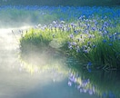 チャクラやオーラを浄化＆活性化します ✨グラウンディング✨クンダリーニレイキ✨ イメージ1