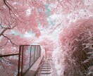 新しい考え方を☆愚痴や悩み、相談等 聴き、答えます あなたのニーズに応えます！！お気軽にどうぞ☆ イメージ3