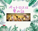ペットロスの悲しみに寄り添います 喪失の悲しみを出会えた感謝に変えませんか。 イメージ2