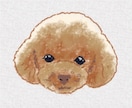 世界にひとつのうちの子似顔絵制作します 愛犬・愛猫・小動物OK、優しいタッチで大切な子をイラストに イメージ3