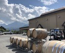 ワインの小さな疑問にお答えします ワインの飲み方、香りの取り方、料理の合わせ方や注文方法など イメージ4