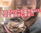 あ〜女の子と話したい！女の子パワーあげます 女の子と接する機会が少ないやとにかく女の子と話したいあなた イメージ1
