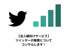 御社のツイッターを、1週間コンサルをします SNSで集客にお悩みの、経営者やマーケティング担当者様へ。 イメージ1