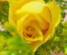 あなたのお話し相手になります あなたのことを知らない私だからこそ、言えることあるよね。 イメージ1