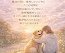 愛犬との時間をやさしく整理します 迷いや不安に寄り添い、これからを一緒に考えます イメージ5