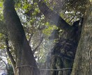 効果抜群！京都の復縁神社へ代行参拝いたします 知る人ぞ知る復縁神社に、貴方の代わりに参拝いたします！ イメージ2