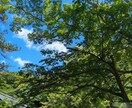 あなたの心に寄り添い、感情整理のお手伝いをします あなたのペースで大丈夫です♡お話をお聴かせください。 イメージ1