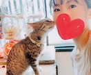 3日間　あなたの心の中を引き出します あなたの本当の望みに気付くと世界が変わります。 イメージ2