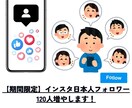 即効！インスタ日本人フォロワー100人増やします 最大フォロワー３万人まで対応可能です！ イメージ1