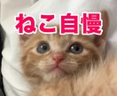 うちの子がいちばん！愛猫の自慢話聞きます 愛猫とのエピソード、特技、猫愛なんでもお話しください イメージ1