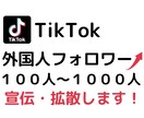 TikTok外国人フォロー増えるように宣伝します TikTok/外国人フォロワー/集客 イメージ1