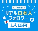 ツイッターの日本人フォロワー100人増やします 最安⭐️Twitter⭐️フォロワー⭐️高品質⭐️15円 イメージ1