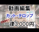 カット・テロップ追加料金なし！一律料金で製作します 初心者だからこその価格！一度に5本までまとめて3000円！ イメージ1
