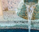 誰もが欲しがる五大欲望を叶える5つの気功技術ます 情報空間から愛・富・美・存在感・生命力のランクアップを叶える イメージ5