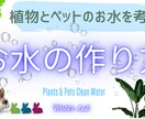 ペットのプロが制作！ペット専門広告作成します ペット業界26年犬、猫、小動物に特化した広告デザイン イメージ6