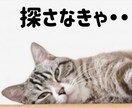 社会人25年間で複数回転職経験してます 転職アドバイザーではありません転職経験豊富なサラリーマンです イメージ1