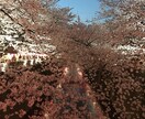 気をつかわなくていい相手だと話しやすくなります １千人以上の悩み事をきいてきた経験があなたの癒しとなります イメージ8