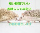 子どもの将来へ不安をもつお母さんのお話を聴きます 引き籠り等で起こる家族全体の緊張や疲れをほぐして理解と支援を イメージ5