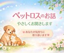 ペットロスのお気持ち、やさしく受け止めます 気持ちの整理がつかない、誰かに話を聞いてほしい方へ イメージ1