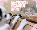あなたの子育て応援します シングルマザーが疲れた心に寄り添います イメージ6