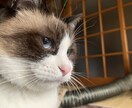 深夜でも安心｜誰にも言えない悩みを聴きます 深夜の静かな時間夜のあなたの心に寄り添います イメージ1