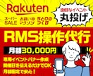 月額制｜楽天RMS操作・イベント画像更新代行します 楽天RMS運用代行｜イベント画像更新・反映作業を丸投げ！ イメージ1