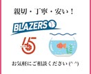 ガタガタ画像をトレースしてAiデータ化します 初めての方もご安心ください。高品質なデータをご提供します！ イメージ5