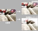 犬好きの方へ！写真アルバム製作します 小さめアルバム！とてもお得にわんちゃんのアルバム制作します♪ イメージ5