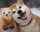 基本制限なしどんな画像も50枚セット作ります 制限なしであなたの理想の画像を作ります　何でもOK イメージ3