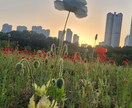 渡韓歴10年以上、韓国在住者が相談にお答えします 韓国人との恋愛、韓国留学など 相談したい事はありませんか？ イメージ2