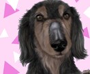 大事な「うちの子」のポップアートお描きします 鉛筆画に色を入れてポップなアートに！ イメージ4