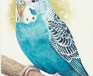 先着3件限定価格｜ペットのリアルな水彩画描きます B5サイズです。配送オプションで原画をご自宅用やプレゼントに イメージ2