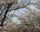 あなたのお話なんでも聞きます！癒します 元気が出ない、人に言えない悩みがある、自信がないあなたへ イメージ1