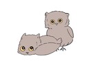 動物さんのイラストを描きます 動物さんのイラストを作成いたします。 イメージ3