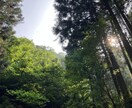 健康相談のります 今よりもっと快適な毎日を！日々の生活の中でできるアドバイス イメージ1