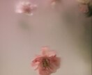 30代ならではの悩み全般。ズバリ！答えます どうしたらいいか分からなくなったら来てください。 イメージ1