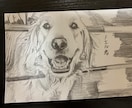 写真を超えた感動を。デッサン似顔絵を作成します プレゼントや記念に。鉛筆画・デッサンをお届けします。 イメージ10
