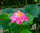 幸せを感じて頂くために出品します 大切な恋人や家族友人にプレゼントしてください、 イメージ5