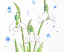 あなたの誕生日の花を描きます ラインやインスタグラムのアイコンにいかがですか？ イメージ3