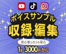 ボイスサンプルの収録をさせていただきます ビデオチャットでお手軽録音！！ イメージ1