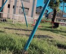 撮った写真の販売、インスタ用等の加工を承ります あなたの思い出に色を付けます。自然の癒しを堪能しませんか？ イメージ7