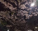 お悩み相談、恋愛相談、気楽におしゃべりします 元声優、役者、アイドルだった現普通の人とお話ししてみましょ！ イメージ1
