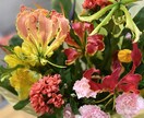 最後まで自宅で暮らせるようにアドバイスします 終末期を自宅で過ごすための一歩を踏み出しましょう イメージ1