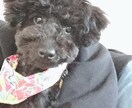 恋愛、子育て、結婚、離婚など相談に乗ります 色々経験してきてます！何かお役に立てたら嬉しいです！ イメージ1