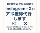 れれみ22様専用Instagram営業DM運用ます 丁寧なDM・アプローチで、あなたの見込み顧客をつなげます。 イメージ1