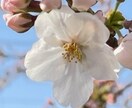 ゆるーく“収入を生み出す”方法ます 誰も教えない秘密のノウハウ！ 0⇒1へ1歩踏み出すチャンス！ イメージ2