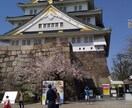 動画編集いたします プレミアプロにて、動画編集いたします。 イメージ3