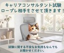 キャリアコンサルタント試験ロープレのお相手をします 第33回試験対応！丁寧にフィードバックします※CC協議会試験 イメージ2