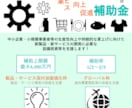 様々な補助金申請書の「採択に向けた助言」を行います 各補助制度に関するノウハウ・審査ポイントを元に採択に導きます イメージ3